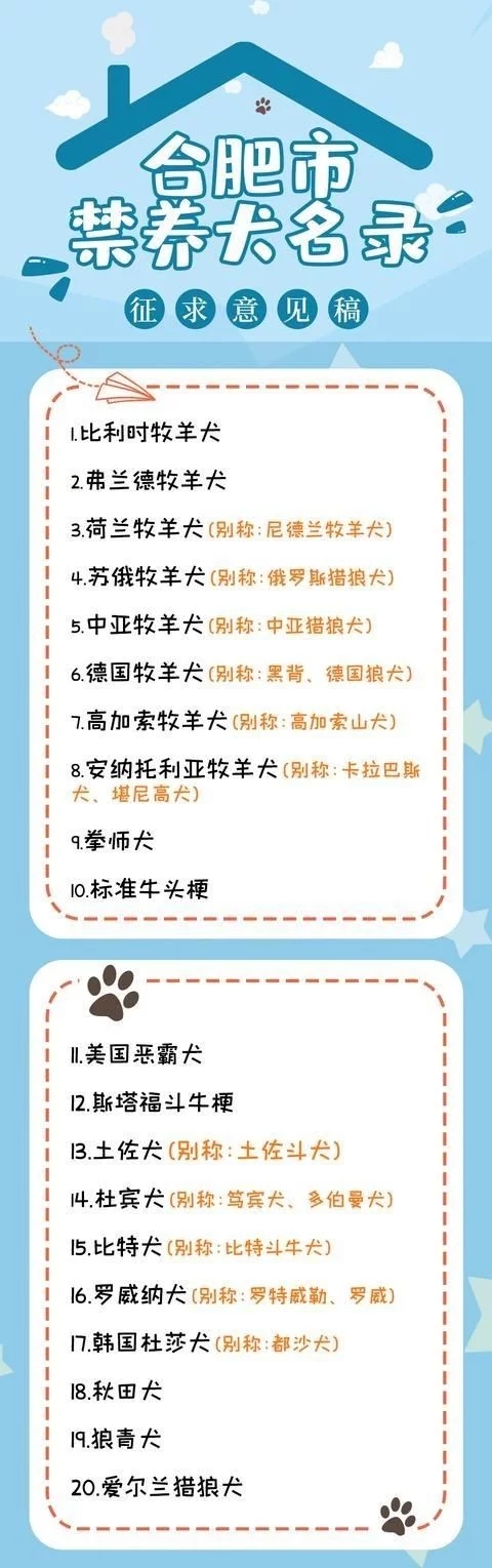 河北一市就禁养犬标准征求意见 牛头梗、蒙古细犬……看看拟禁养的狗狗有哪些