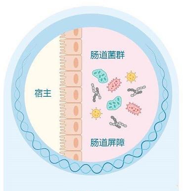 用对益生菌粉剂固体饮料，帮助...