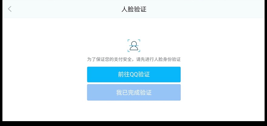 支付环节人脸识别验证界面。
