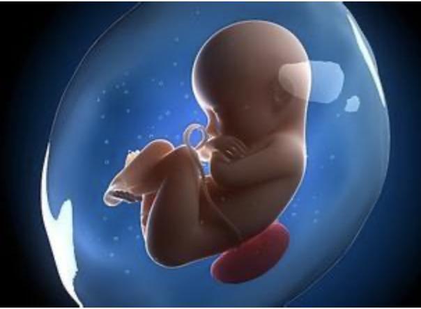 婴儿没出世的时候胎儿在妈妈肚子时候吃什么
