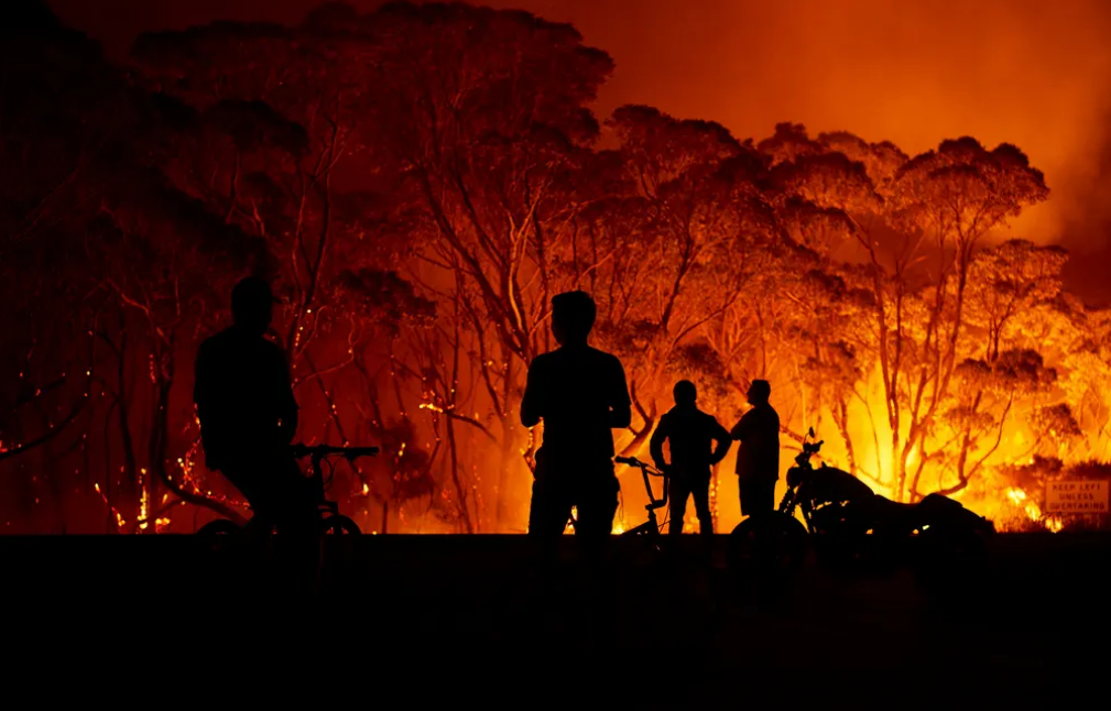澳前总理批政府对山火危机反应迟钝 消防员也喊话“下台”