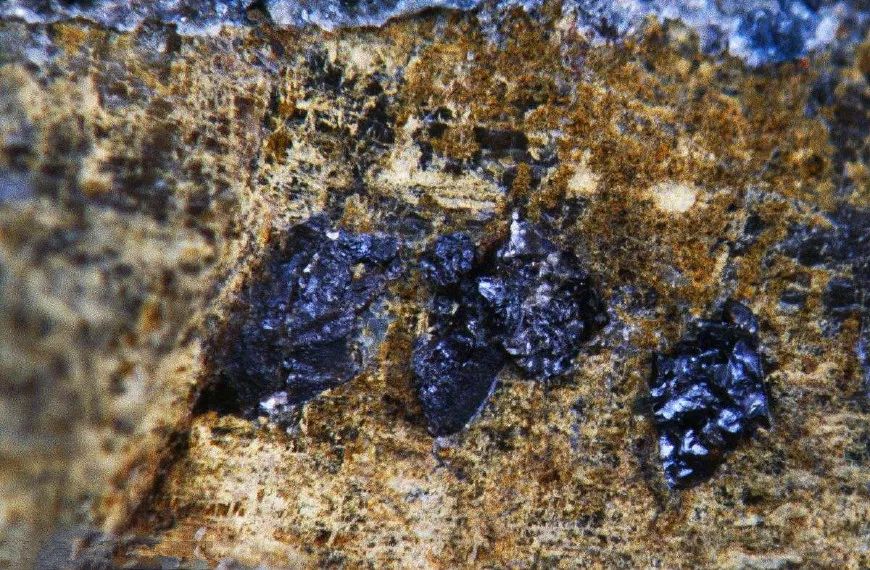 瑙鲁,图瓦卢未来或将被海水淹没