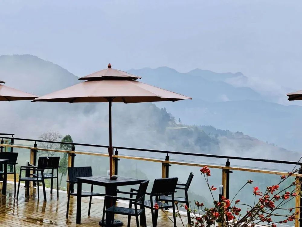 赏茗岙梯田油菜花,食永嘉十大特色美食,住如梦如幻民宿