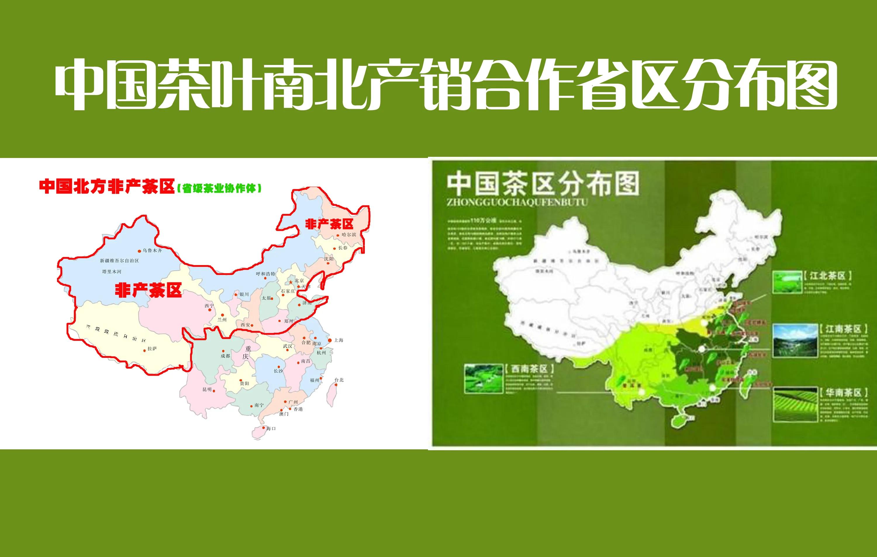 赢响中国茶业【贺岁2021】北方16省市茶业合作|用新而为__凤凰网