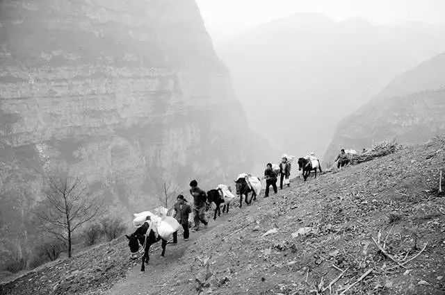 的眼中重现千年风沙封存了漫漫古道上的无数故事马在悠久的历史长河里