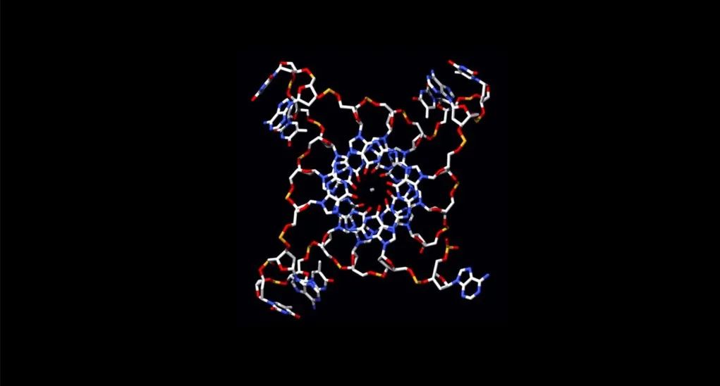 Nature Genetics | 首次在乳腺癌中发现“四链DNA结构”，或可用作癌症分型和治疗靶标__凤凰网