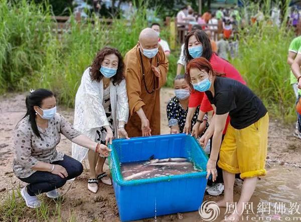 放生（图片来源：凤凰网佛教 摄影：广州华严寺）