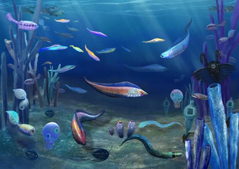寒武纪早期云南澄江生物群生态复原图基于分子生物学和古生物学证据的