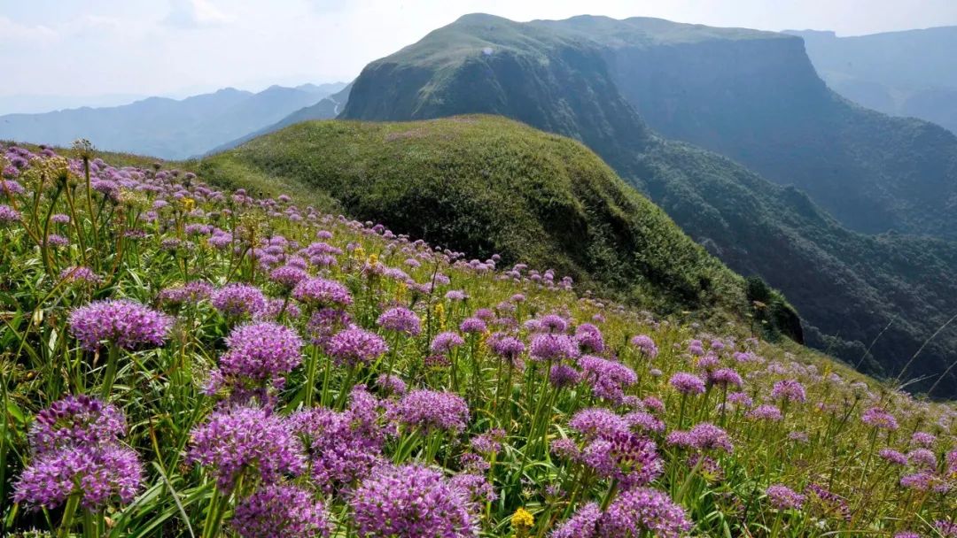 小韭菜坪海拔2900.6米