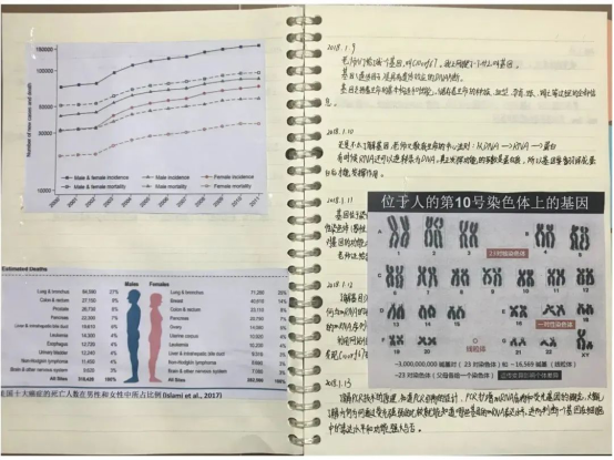 （陈同学的实验记录本）