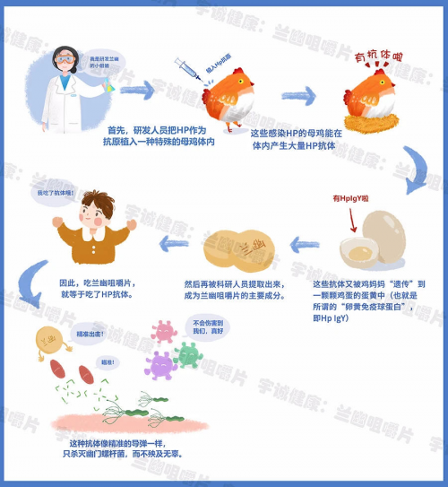 Hp IgY宇诚健康兰幽系列肠胃保养的秘籍(图2)
