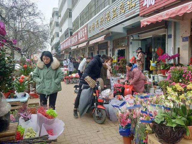 百花盛放迎新春,春節將至濟寧花鳥魚蟲市場年味兒濃