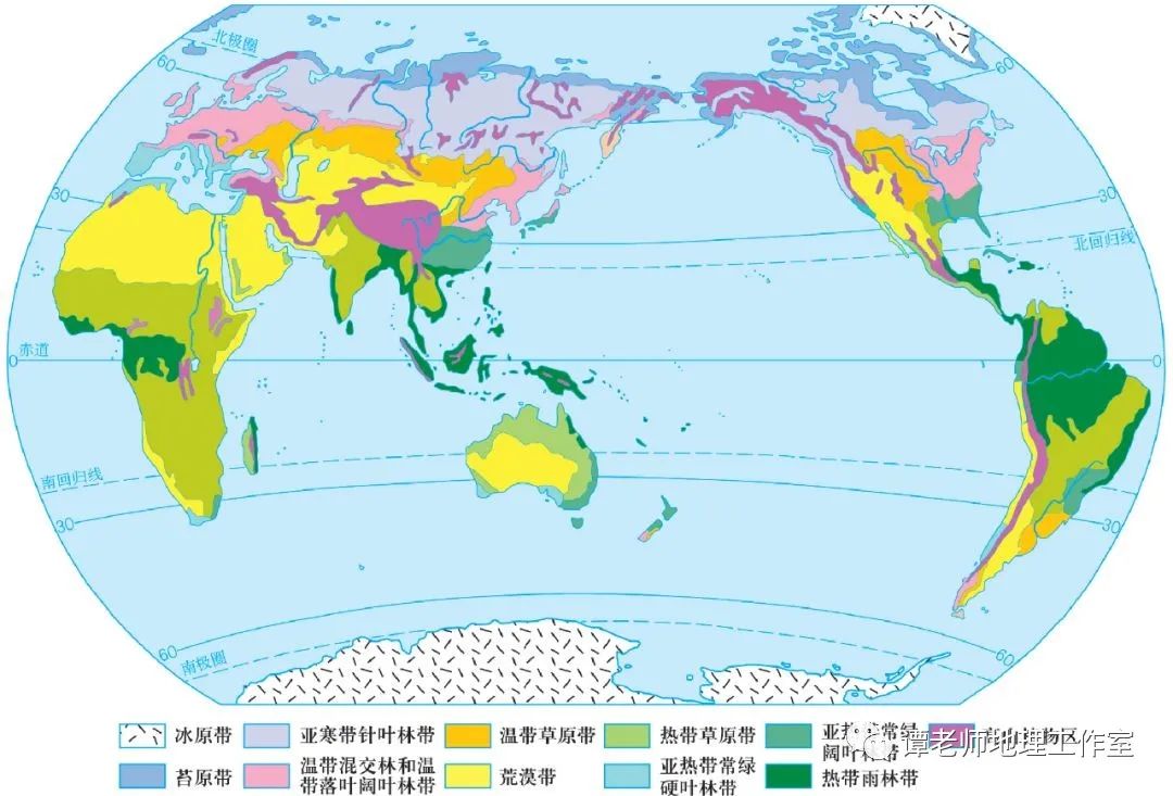 世界植被自然带分布图