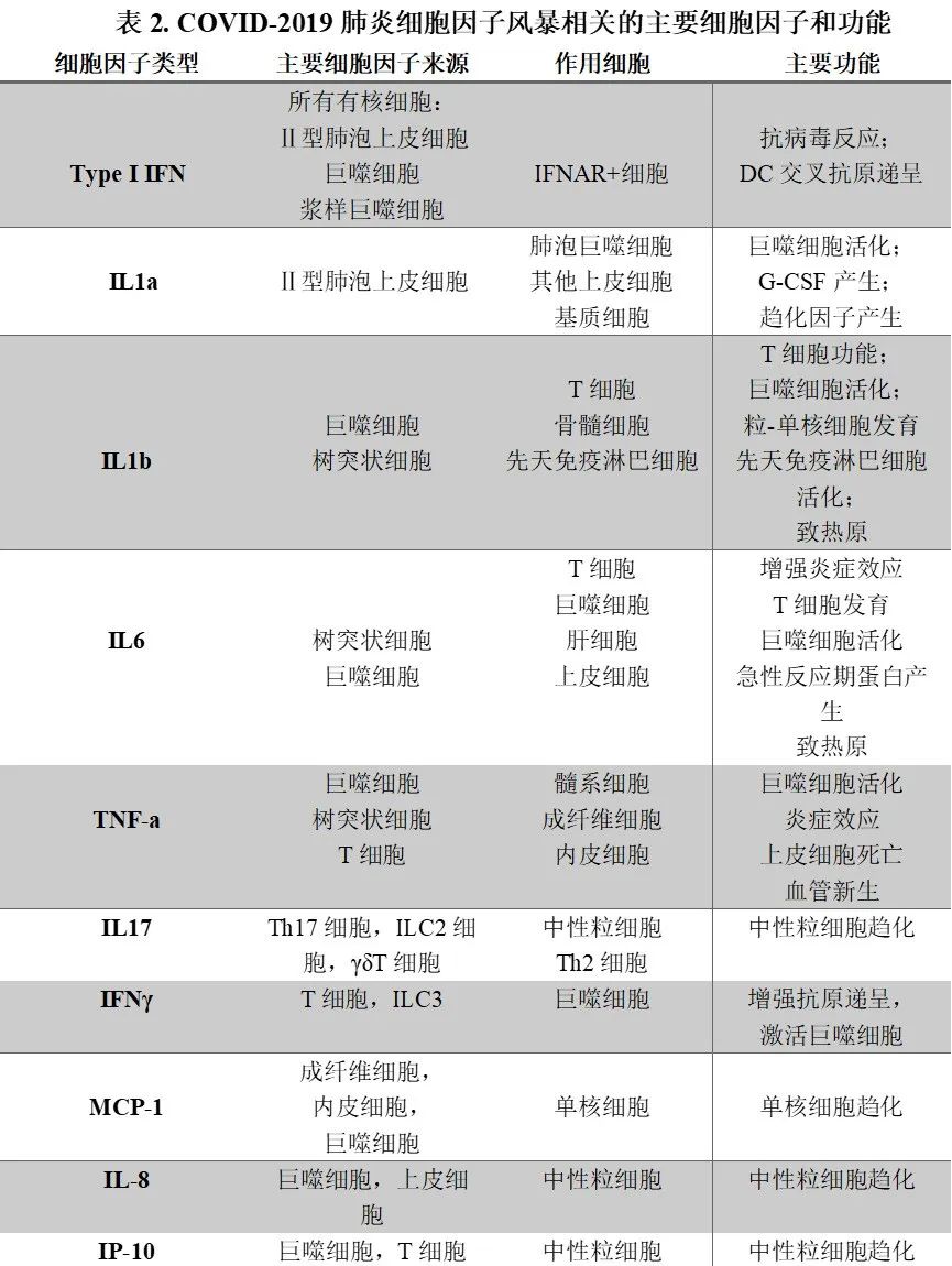 过犹不及的免疫反应:细胞因子风暴如何加速病情