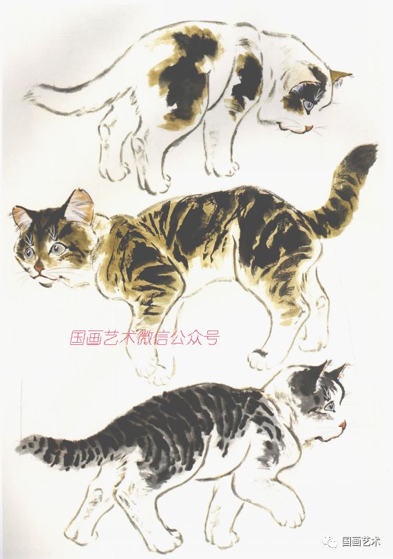 本素材摘录自《小写意画猫技法》,高占国编著,天津人民美术出版社出版