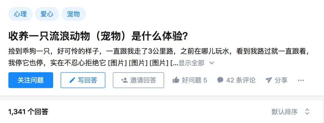 收养6000只流离动物是什么样的体验？72岁奶奶：心力交瘁（68岁老人收养了1300只流浪动物）