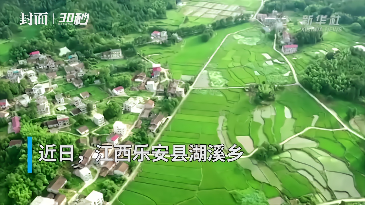 30秒｜美不胜收！航拍江西千亩白莲陆续开花