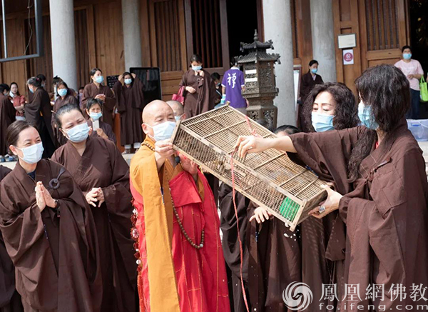 放生（图片来源：凤凰网佛教 摄影：广州华严寺）