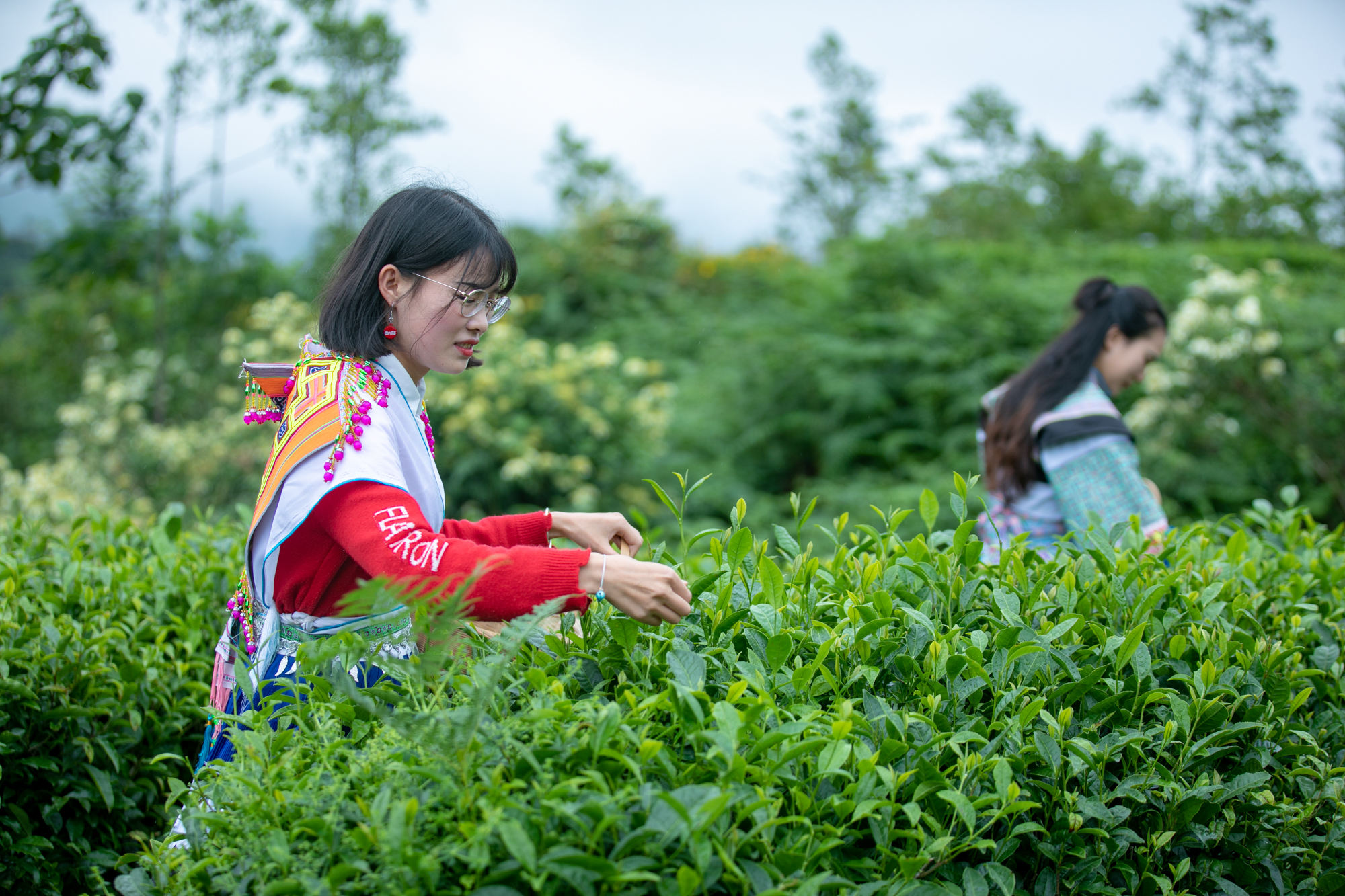 中国“隐秘”的角落，贵州纳雍县，随便一个网红景点都让游客疯狂