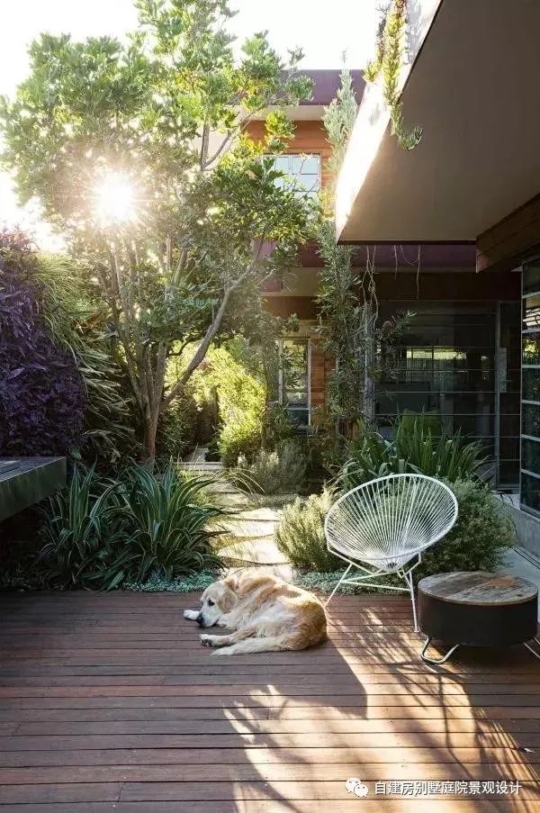 50个庭院,很肥美——豪宅自建房别墅农村乡村庭院子私家花园景观绿化