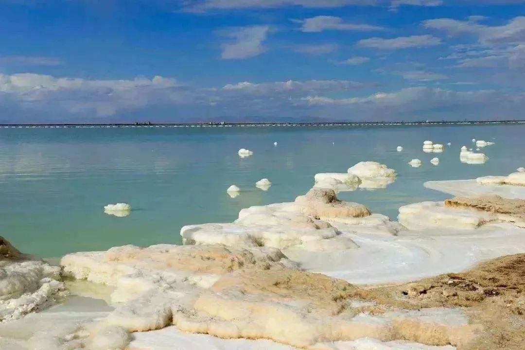 青海富豪排行榜_青海西宁富豪榜大洗牌,神秘女老板进前五,他身价半年暴涨200亿(2)