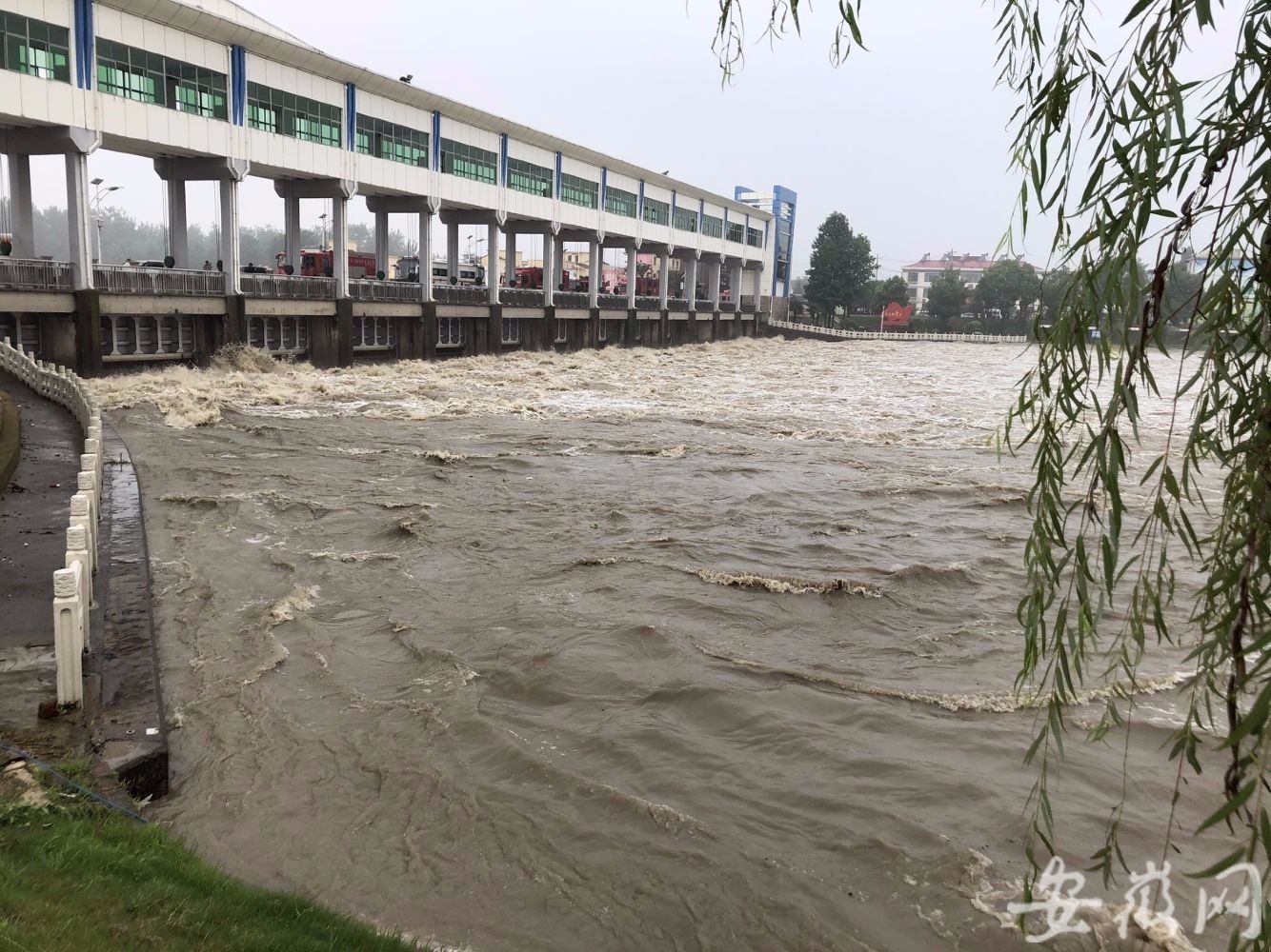 王家坝开闸蓄洪后 20多辆洛阳消防救援车驰援阜阳防汛