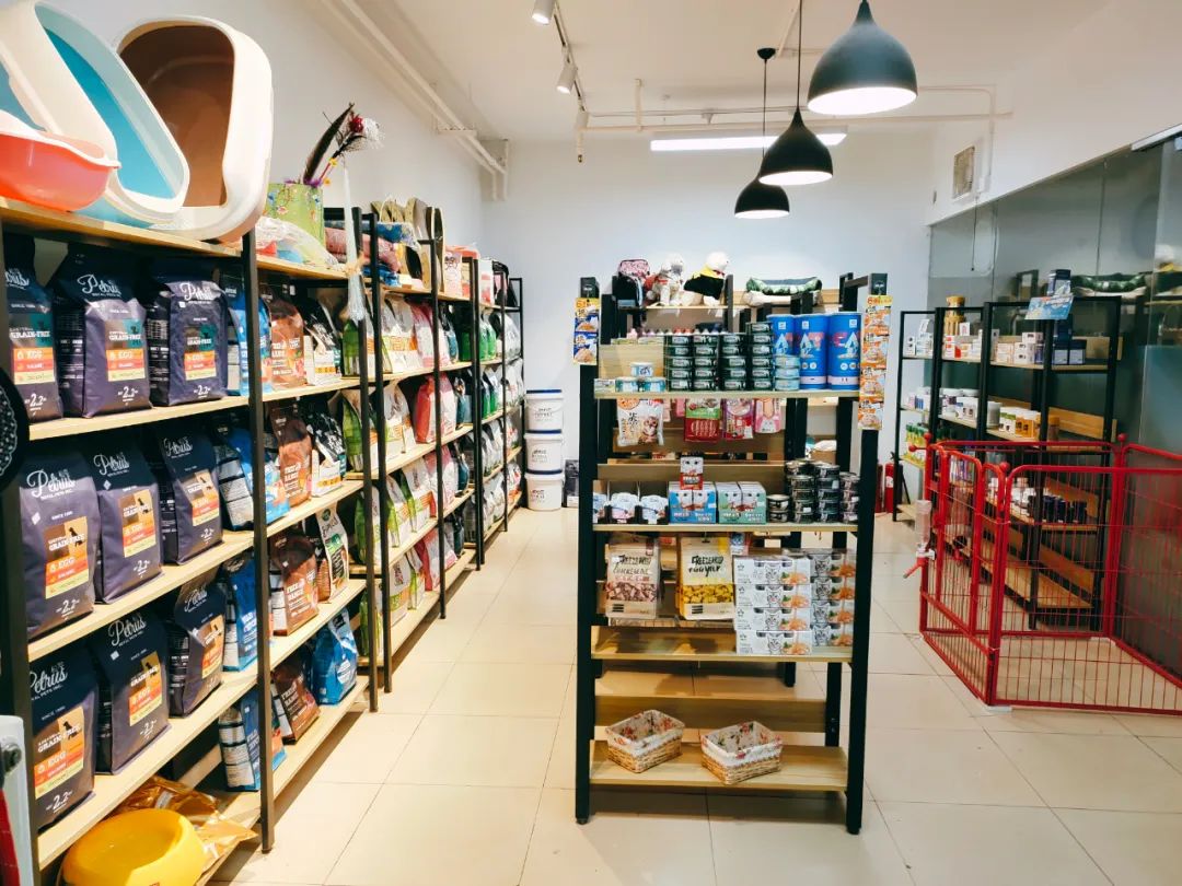 派多格属地化运营,让天下没有难开的宠物店