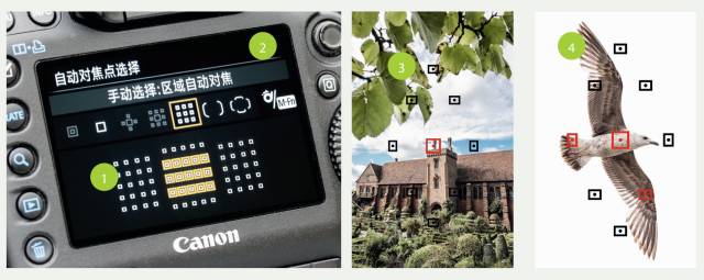 对焦点该怎么选?