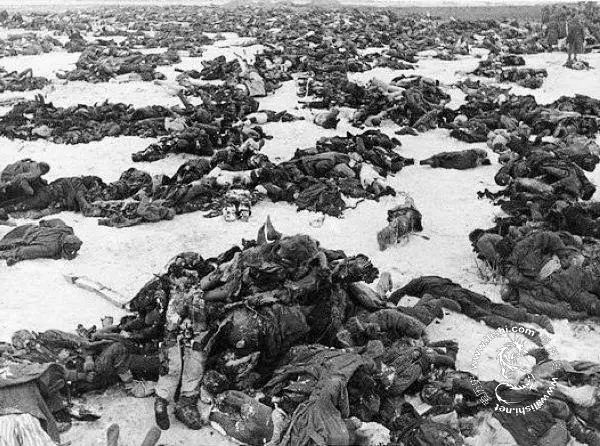 343决战上海之三十八省健儿齐杀寇