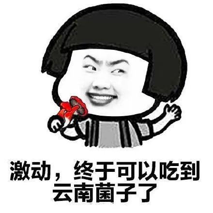云南人:这两种菌要认识,造成近九成野生菌死亡病例__凤凰网