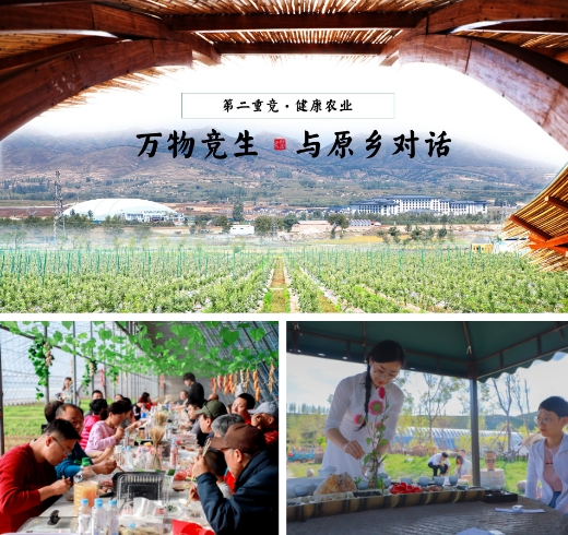 |168万人观看！华中小镇亮相国际绿色建筑与建筑节能大会