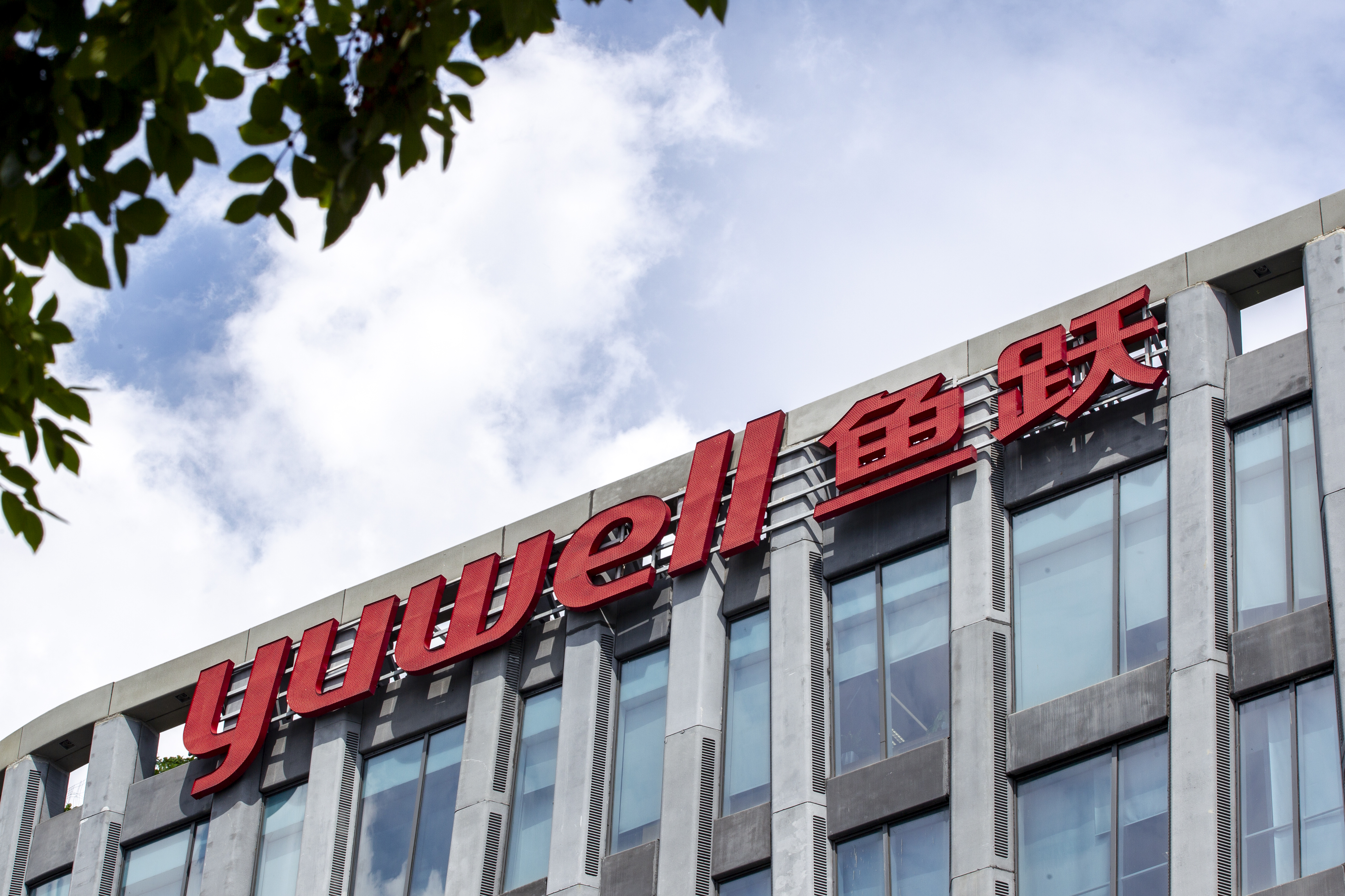 鱼跃医疗外销收入占比升至30预收款半年增8亿经营现金净流入24亿