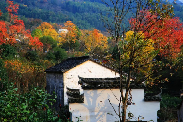 江浙沪皖秋季最值得去的十大景点