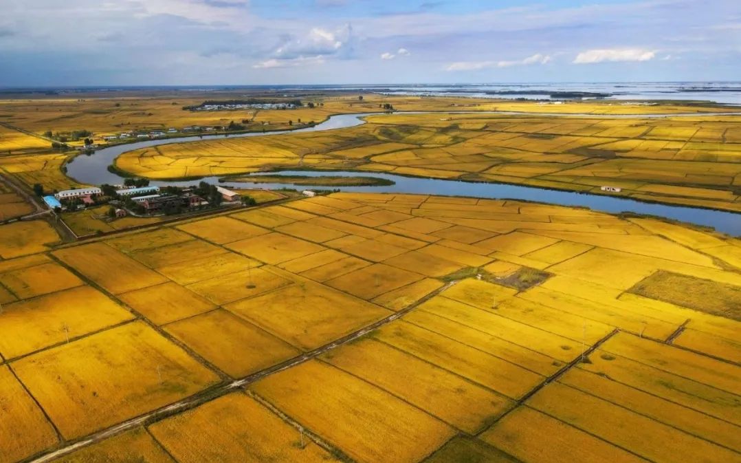 回望"十三五"之一:高素质现代农民日渐崛起