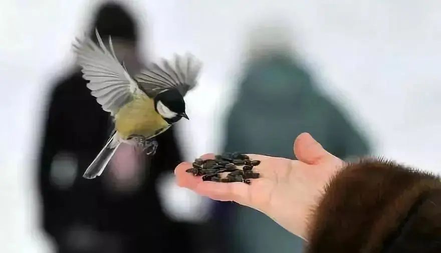 夏天最方便的法布施人人都能做