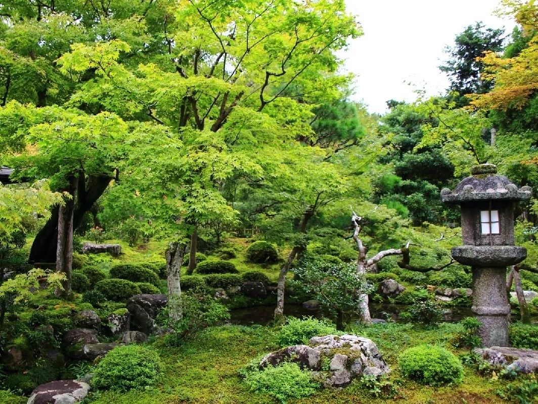 日式庭院植物选择和配置方法如下