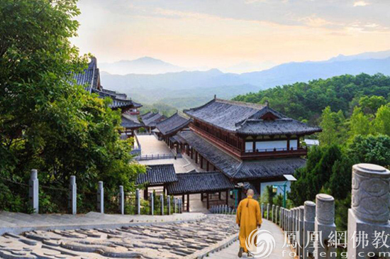 图片来源:凤凰网佛教 桐柏山乌木博物馆提供