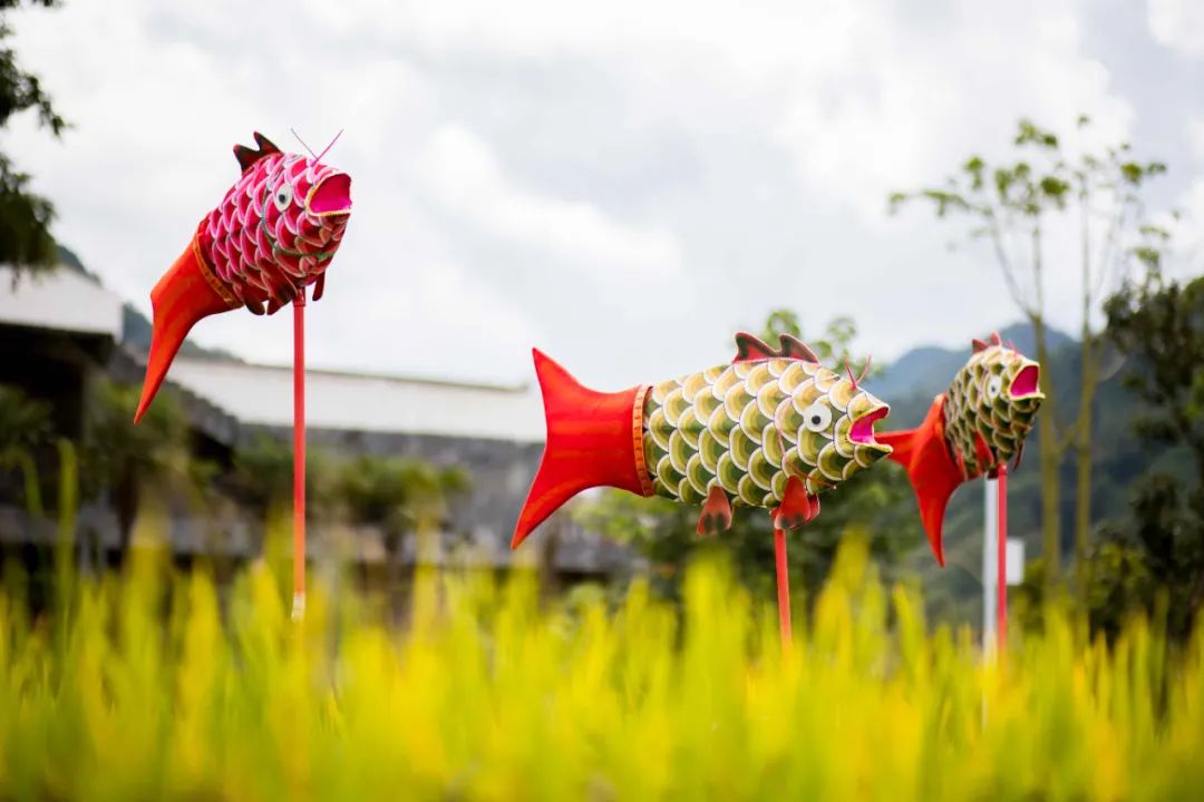 100张图带你看玛御谷第四届稻花鱼节