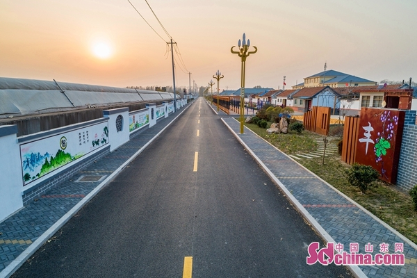 青岛西海岸新区大场镇:打好人居环境"春季战役" 绘就美丽乡村新画卷