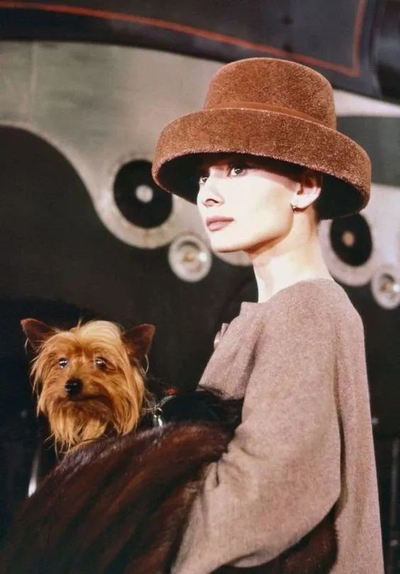 史诗级帽子控赫本最爱的那顶叫什么