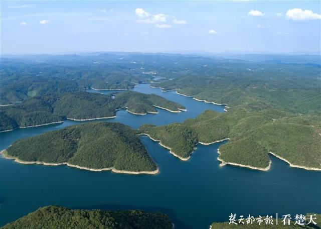 以桃花水母為原型,荊門漳河新區14萬元徵集文創作品__鳳凰網