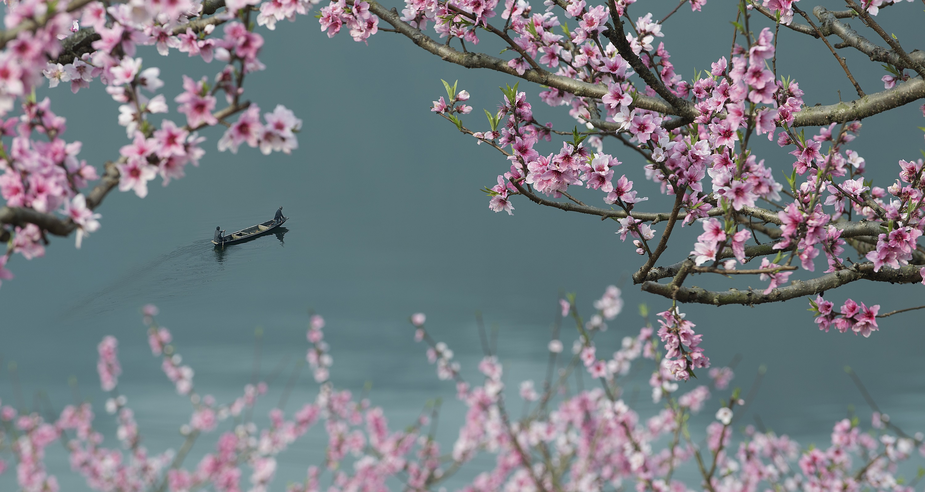 浙江新昌 : 春染小山村