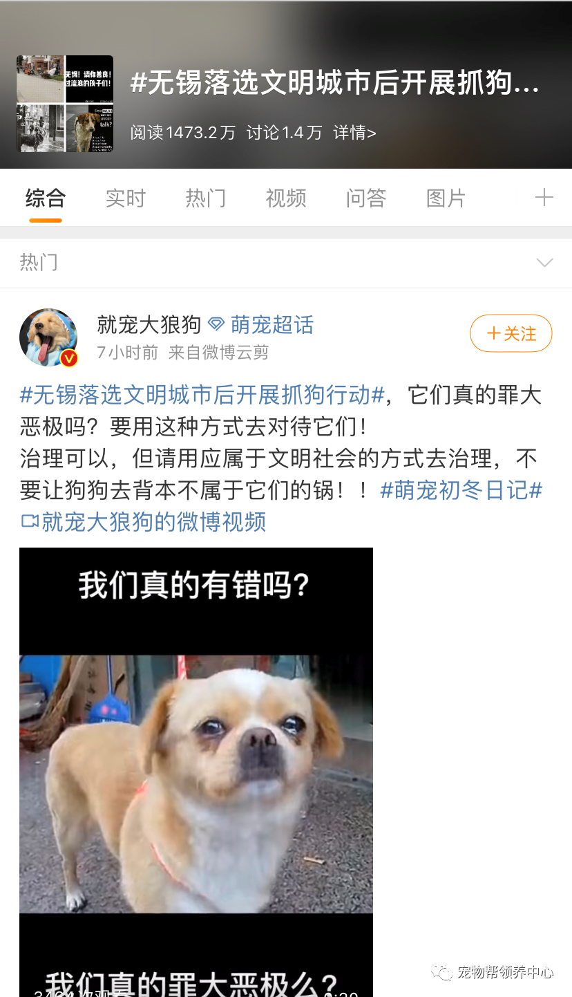 微笑狗事件死人了吗（微笑狗事件真的死人了吗） 第1张