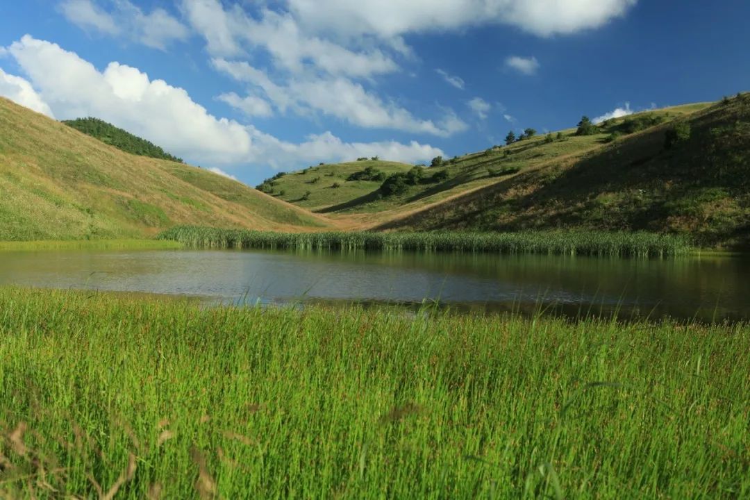 二,神田草原——高山草甸畅享安宁惬意