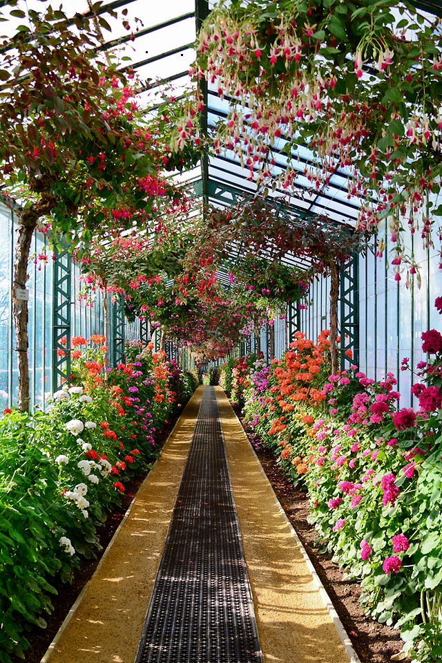漂亮的鲜花码头,是通往冬天花园的通道