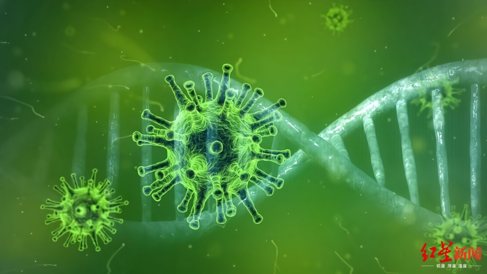 巴西发现神秘病毒，科学家称其90%基因前所未见