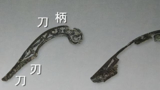 陵墓中现手术刀