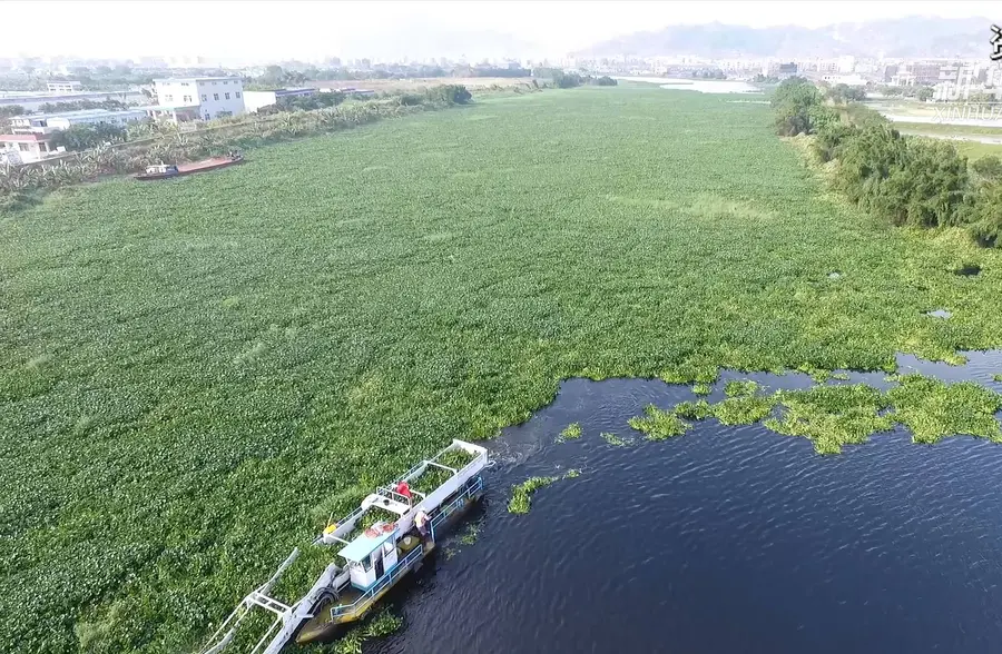 练江干流曾因水体污染而营养化