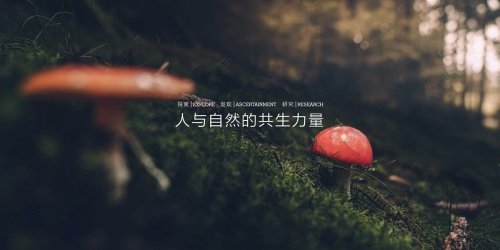 96636980B153CE02F48E75FB8FDF006794B7832A_size158_w500_h250.png