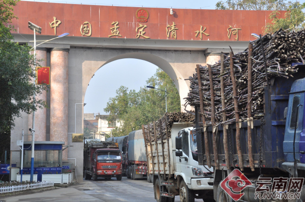 孟定清水河口岸战疫生产两不误发展甜蜜事业